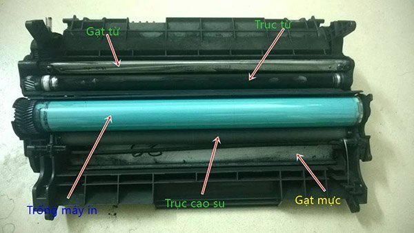 các bộ phận máy in có thể gây ra lỗi bản in có vết sọc đen, chấm đen