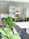Sàn 40m2- Tầng trệt